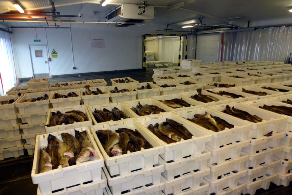 Sultan Rashid Abdullah Rashid Al Shene — coldstore crates